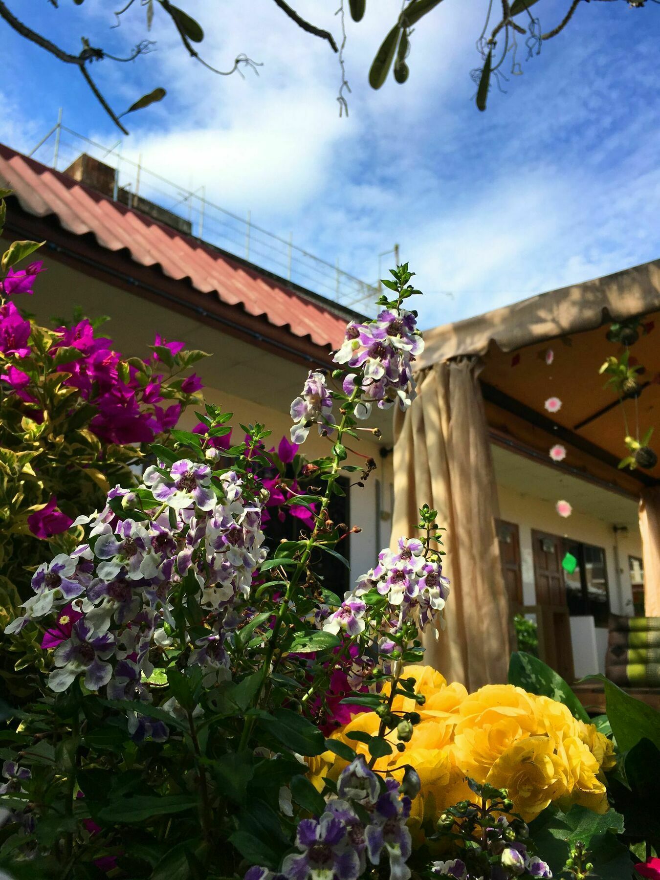 Hotel Cshouse Čiang Mai Exteriér fotografie